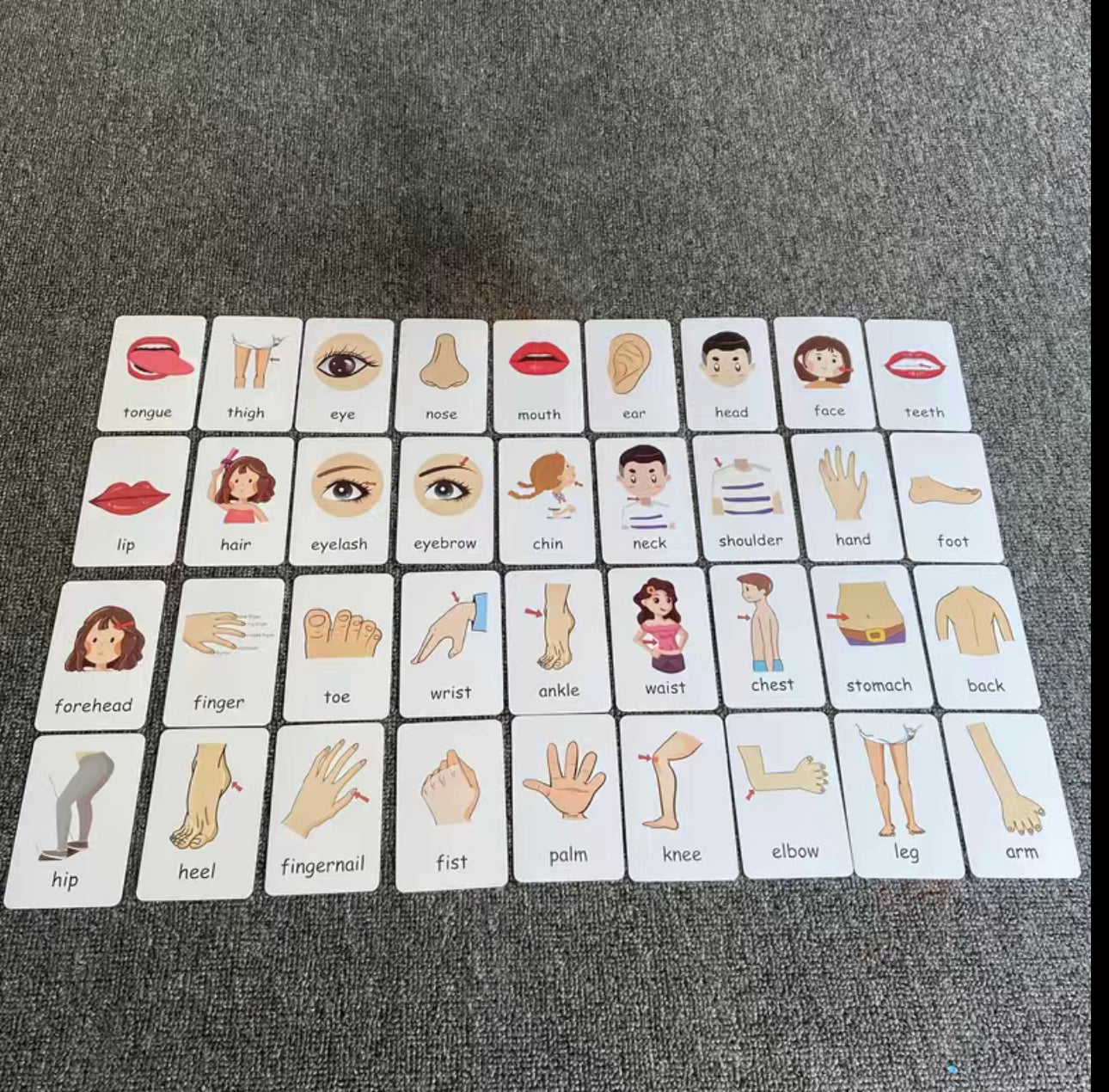 Cognition  Flash Cards/ Body parts