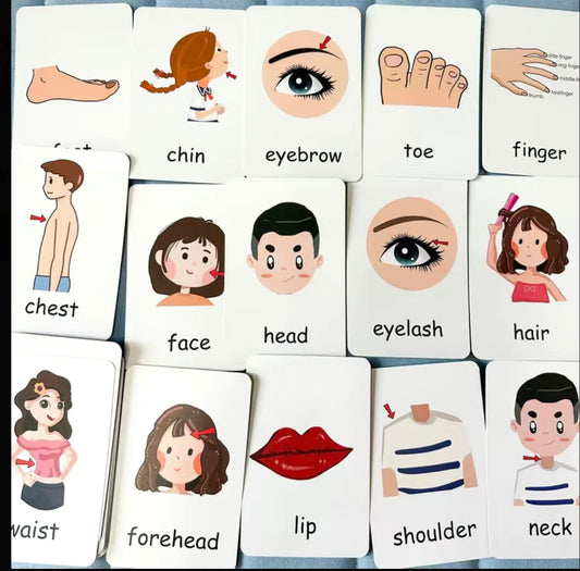 Cognition  Flash Cards/ Body parts