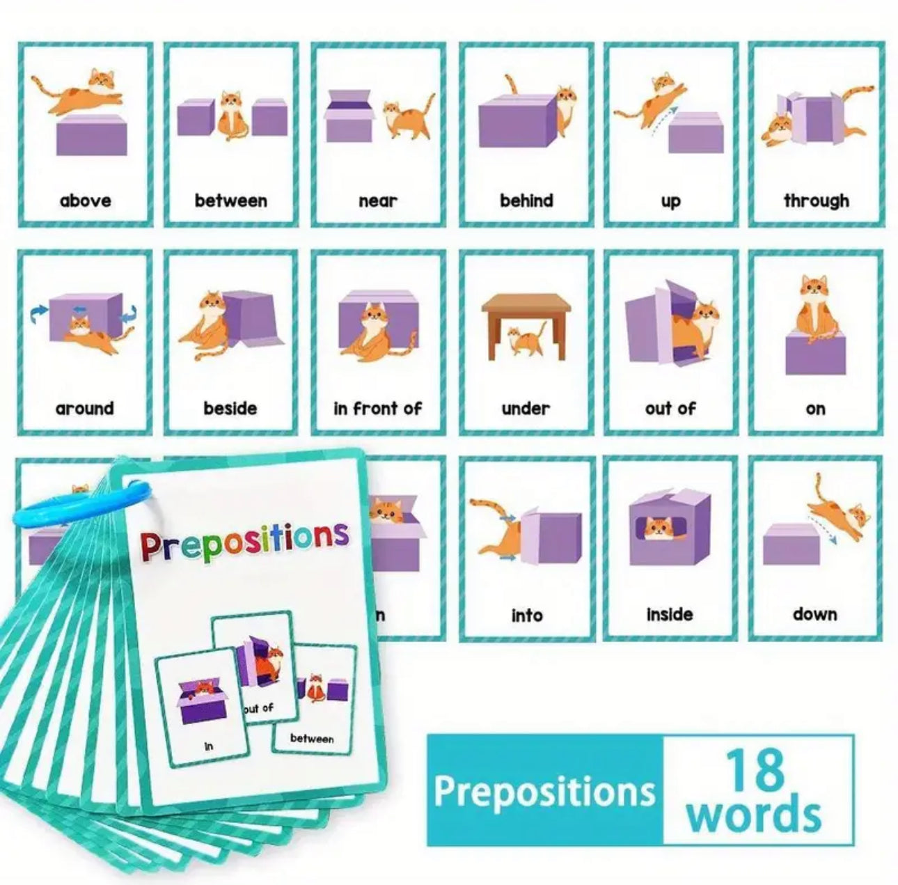 Flash Cards