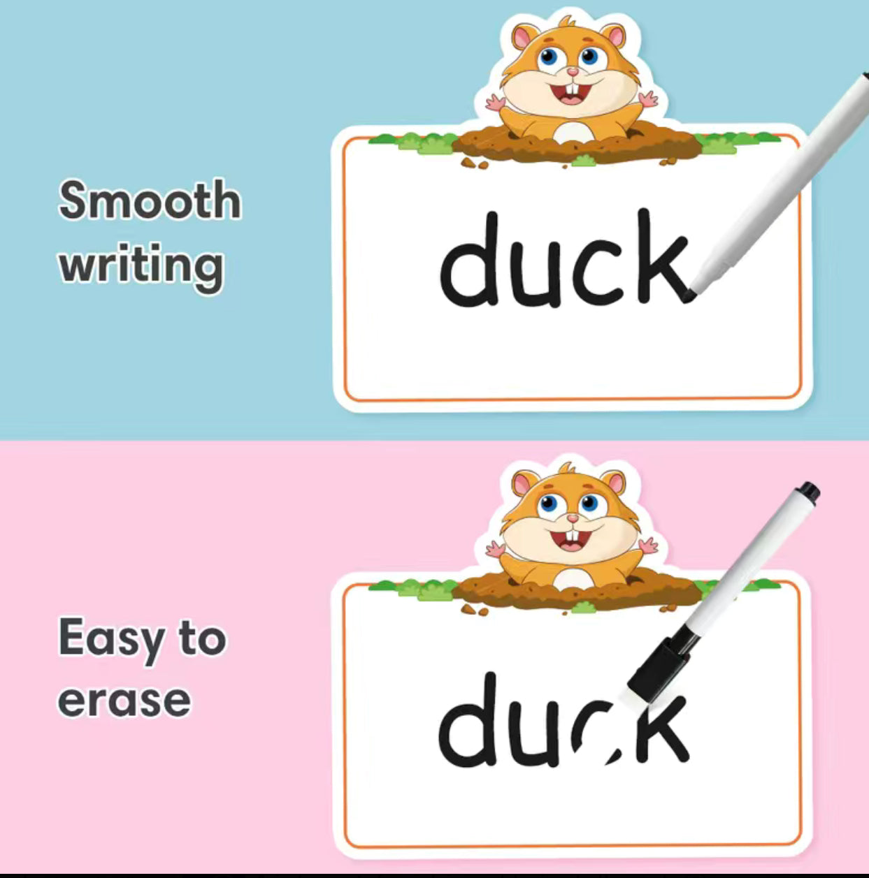 Reusable Learning Flash Cards
