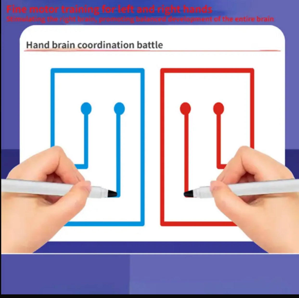Cognitive Growth Puzzles - Left & Right