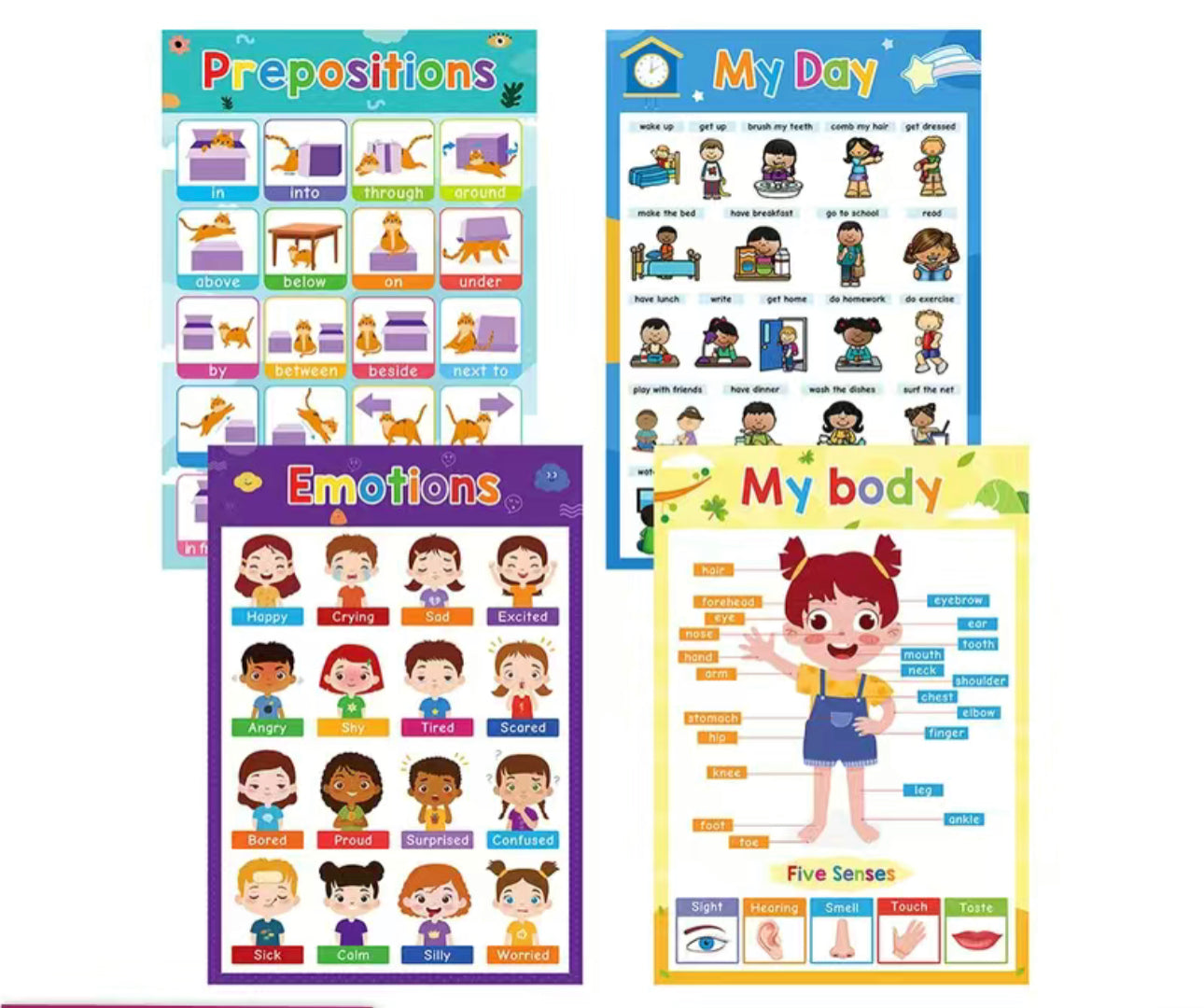 Carteles Educativos
