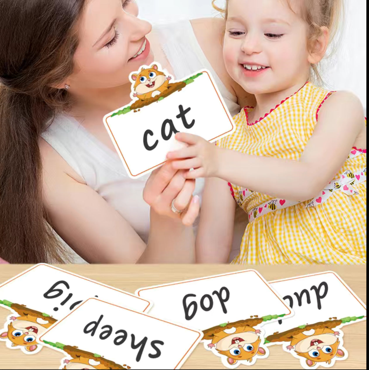 Reusable Learning Flash Cards