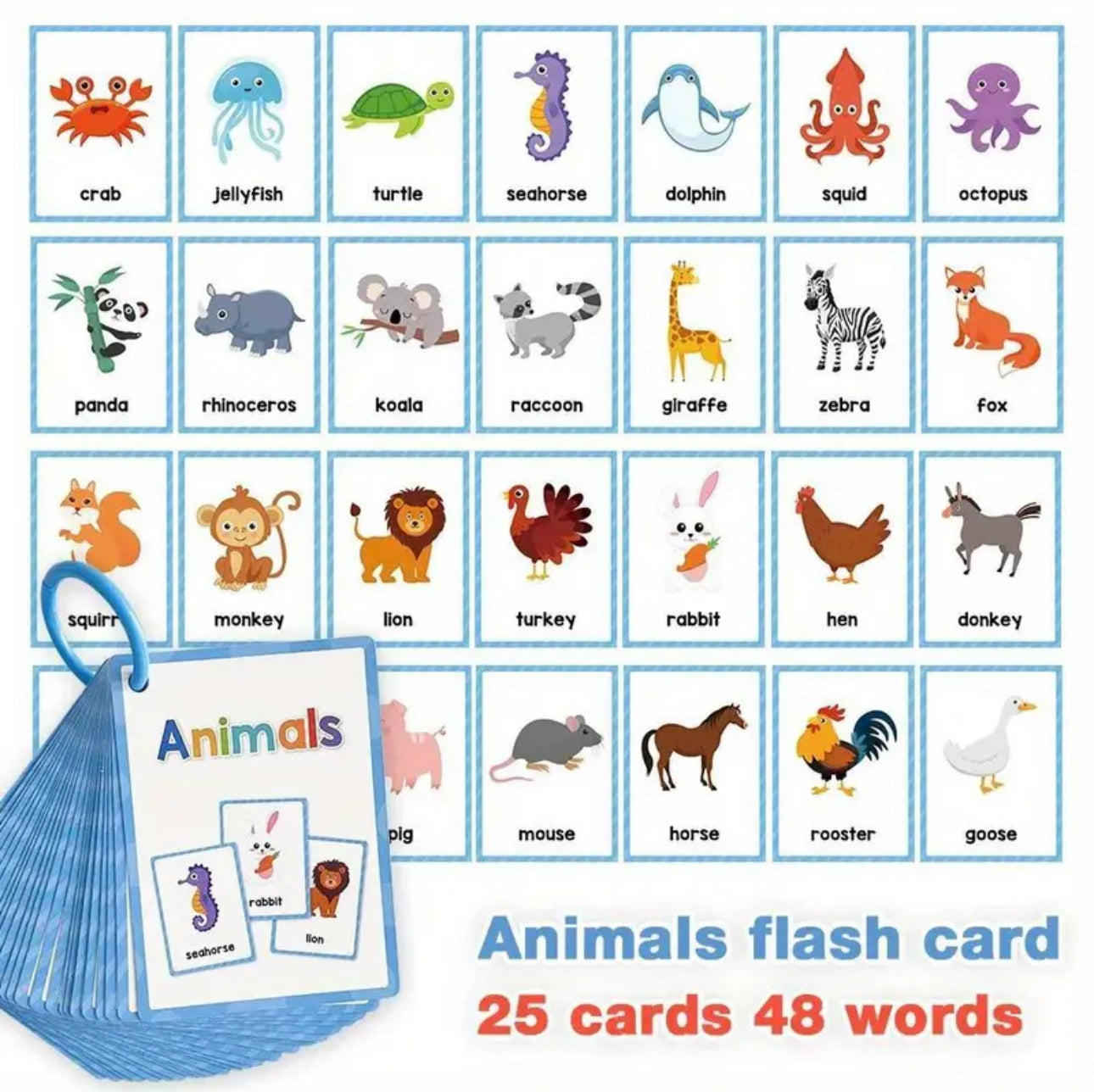 Flash Cards